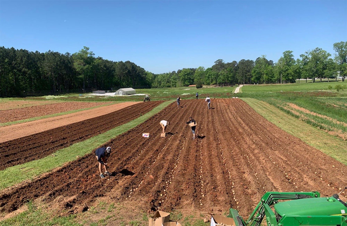 Campers and staff planting rows on the camp farm